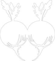 beets outline silhouette vector