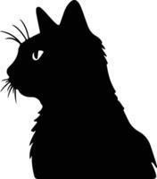 Seychellois Cat  black silhouette vector