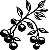 Cranberries  black silhouette vector