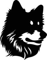 finlandés perro lapphund silueta retrato vector