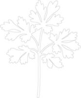 parsley  outline silhouette vector