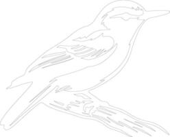 white-breasted nuthatch  outline silhouette vector