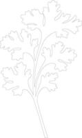 celery  outline silhouette vector