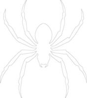 spider    outline silhouette vector