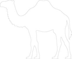 bactrian camel  outline silhouette vector