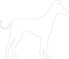 Whippet outline silhouette vector