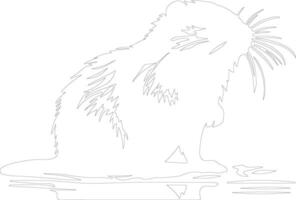 muskrat  outline silhouette vector