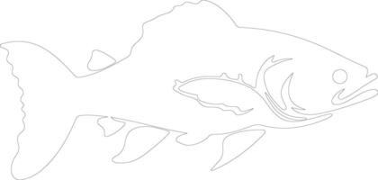 coelacanth outline silhouette vector