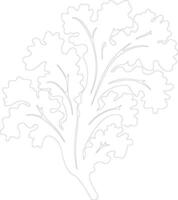 kale  outline silhouette vector