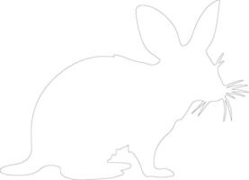 bilby  outline silhouette vector