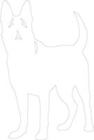 Belgian Malinois  outline silhouette vector