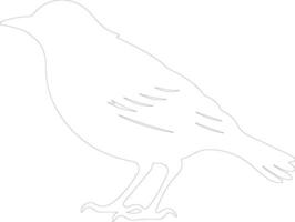 starling   outline silhouette vector