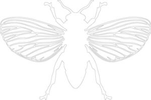 cicada outline silhouette vector