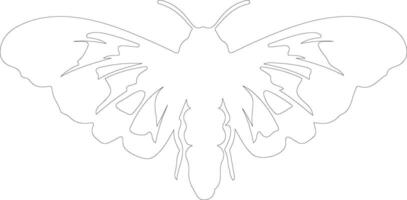 silkworm    outline silhouette vector