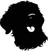 Spanish Water Dog  silhouette portrait vector