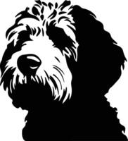 Spanish Water Dog  silhouette portrait vector