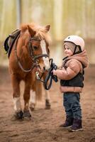 Portrait of little girl in protective jacket and helmet with her brown pony before riding Lesson photo