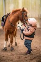 Portrait of little girl in protective jacket and helmet with her brown pony before riding Lesson photo