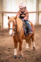 Little Child Riding Lesson. Three-year-old girl rides a pony and does exercises photo