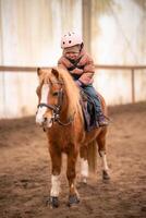 pequeño niño montando lección. tres años niña paseos un poni y lo hace ejercicios foto