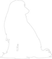 Afghan Hound  outline silhouette vector