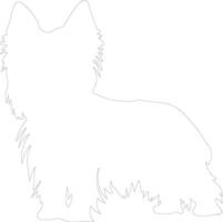 Silky Terrier outline silhouette vector