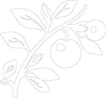 lingonberry  outline silhouette vector