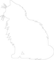 British Longhair Cat  outline silhouette vector