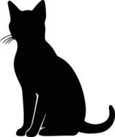 Tonkinese Cat  black silhouette vector