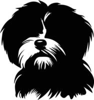 Havanese    black silhouette vector