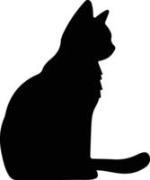 American Shorthair Cat  black silhouette vector