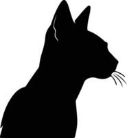 Abyssinian Cat  black silhouette vector