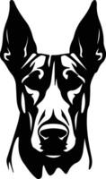 Doberman Pinscher  silhouette portrait vector