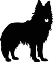 Belgian Tervuren    black silhouette vector