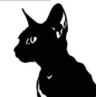 Devon Rex Cat  silhouette portrait vector