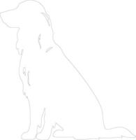 Irish setter  outline silhouette vector