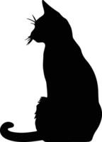 Black cat  black silhouette vector