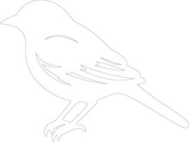 sparrow   outline silhouette vector