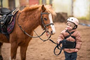 Portrait of little girl in protective jacket and helmet with her brown pony before riding Lesson. High quality photo