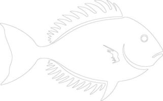 John Dory  outline silhouette vector