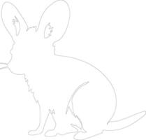 bilby contorno silueta vector