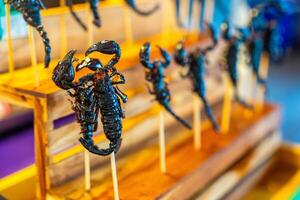 Fried scorpion on a skewer in floating open air market on the pond in Pattaya, Thailand photo