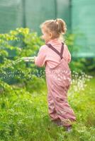 Happy laughing child girl 2-3 year old wearing waterproof clothes have a fun with water gun on home backyard photo