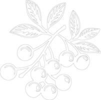 cranberry  outline silhouette vector