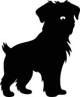 Brussels Griffon   black silhouette vector