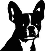 Boston Terrier   black silhouette vector