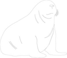 northern elephant seal  outline silhouette vector