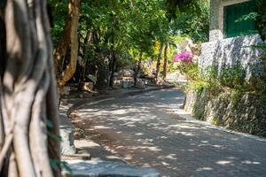 The Million Years Stone Park, Pattaya, Thailand photo