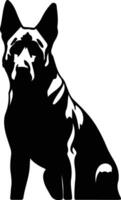 Belgian Malinois black silhouette vector