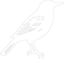 starling   outline silhouette vector